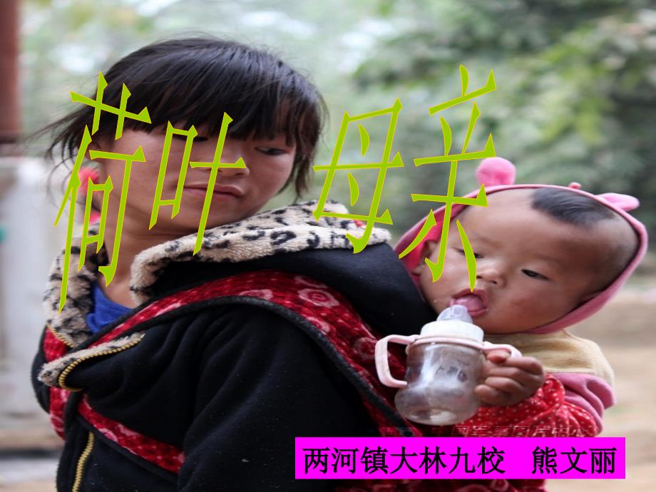 《荷叶母亲》_第1页