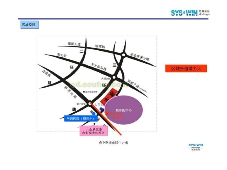 家（成都）项目营销方案_第5页