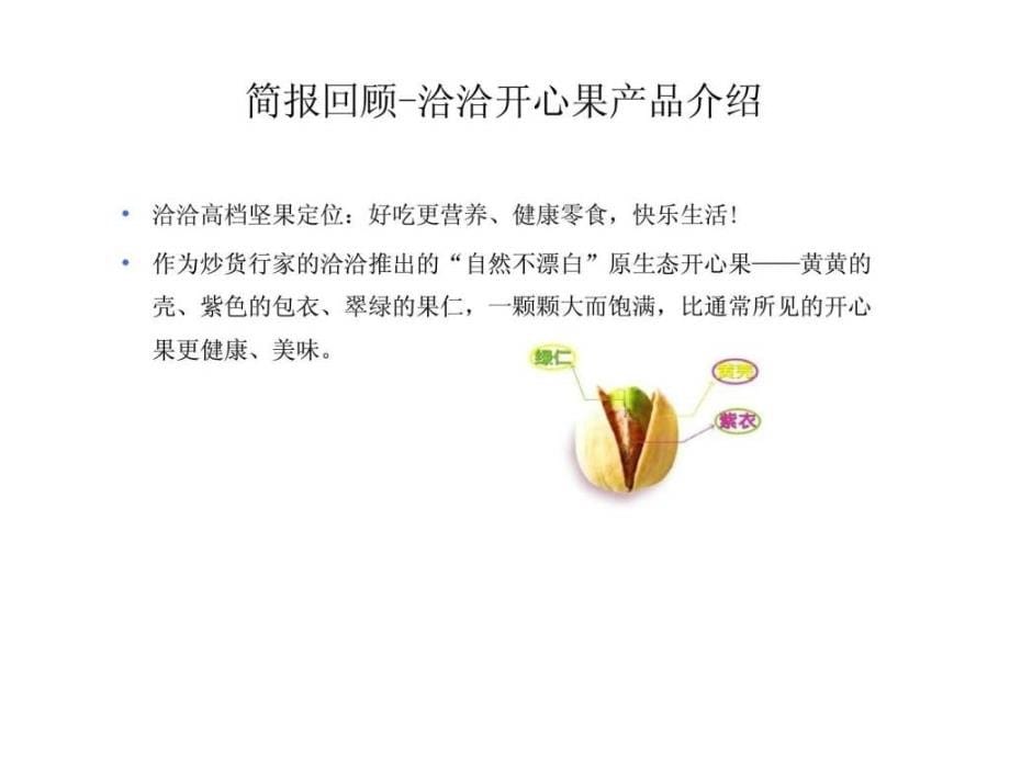 网络营销传播方案_第5页