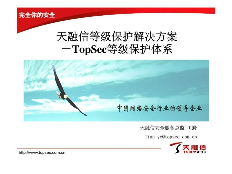 天融信等级保护解决方案－TopSec等级保护体系_第1页