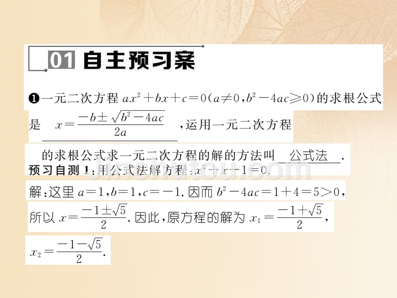 2017年秋九年级数学上册22一元二次方程的解法222公式法作业课件（新版）湘教版_第2页