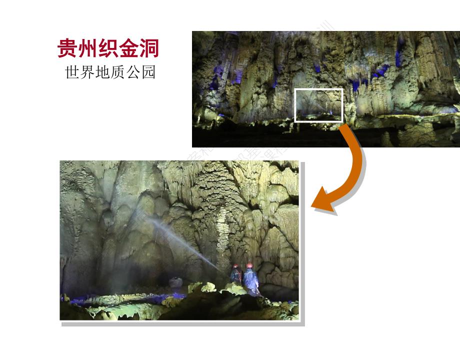 2018年教育部高中课程标准培训《基于生物学核心素养的教学改革》_第4页