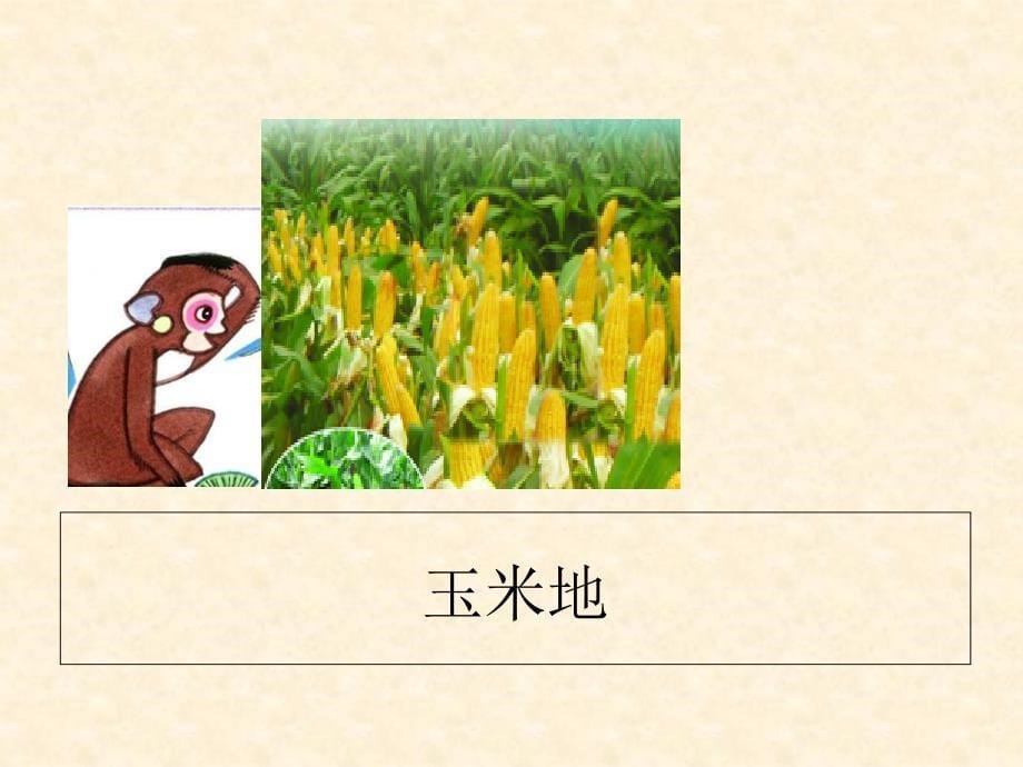 2014一年级语文下册小猴子下山课件2浙教版_1_第5页