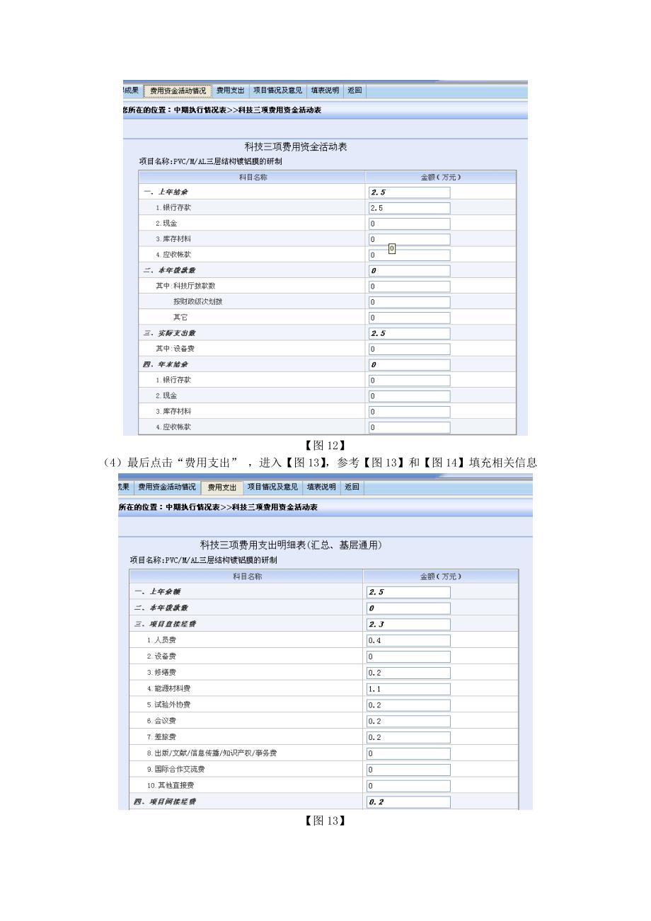 填写福建省自然科学基金计划项目执行情况表的流程_第4页