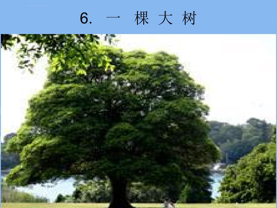 《一棵大树课件》小学语文湘教版五年级上册_第2页