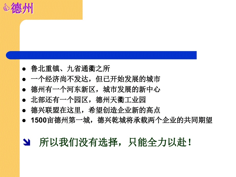 山东德州-德兴·乾城营销_第3页