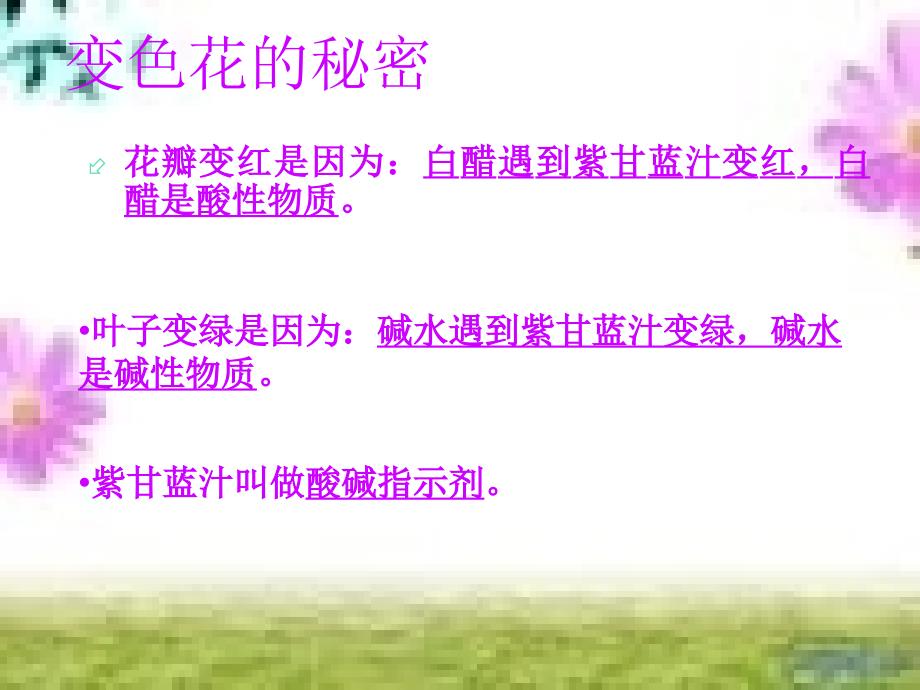 六年级上科学课件《变色花》苏教版（三起）_第2页