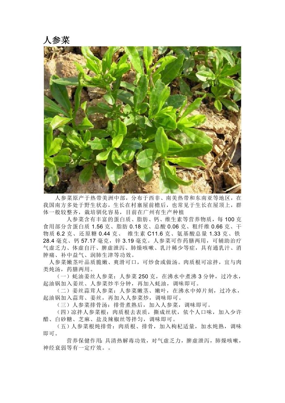 野菜特种菜汇总[1](1)_第4页