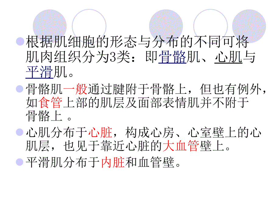 四年级下科学课件《3.+肌肉》课件2苏教版（三起）_第4页