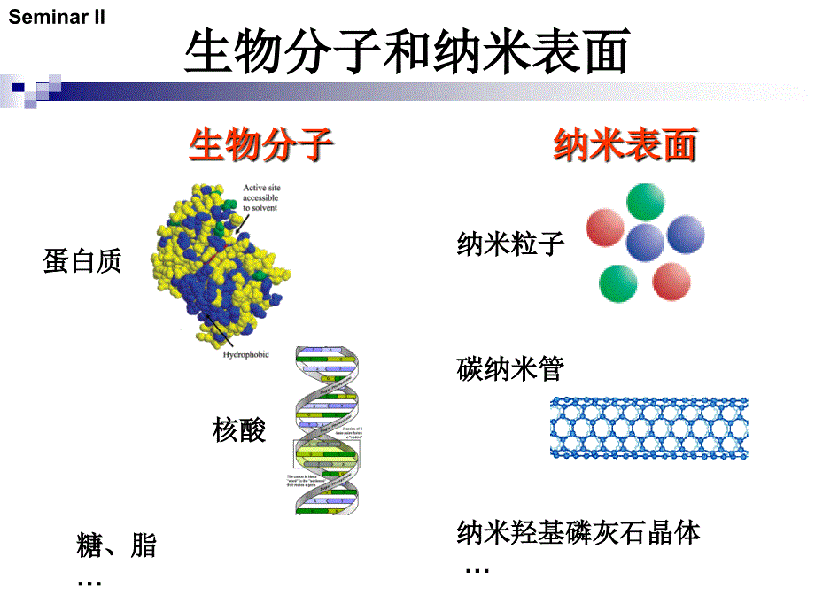 生物分子在纳米表面吸附_第2页