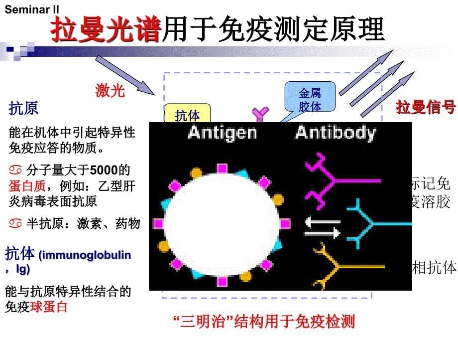 生物分子在纳米表面吸附_第5页