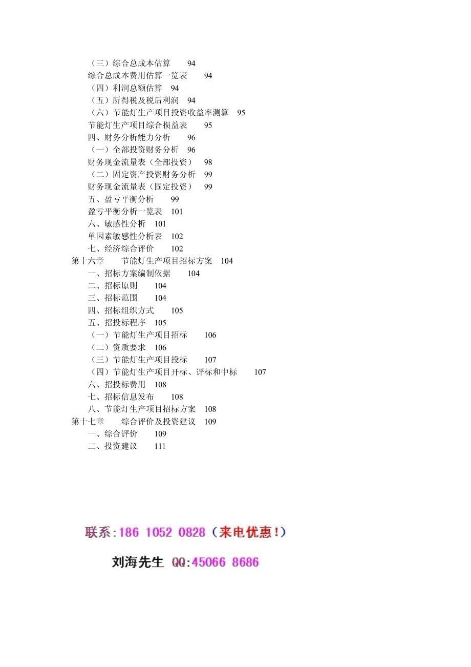 节能灯生产项目可行性报告_第5页