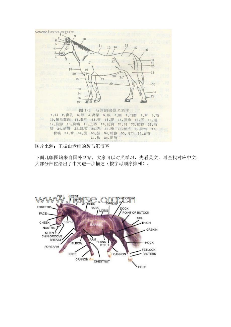 马的身体部位名称_第2页