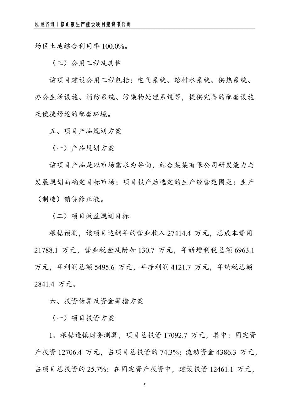 修正液生产建设项目建议书_第5页