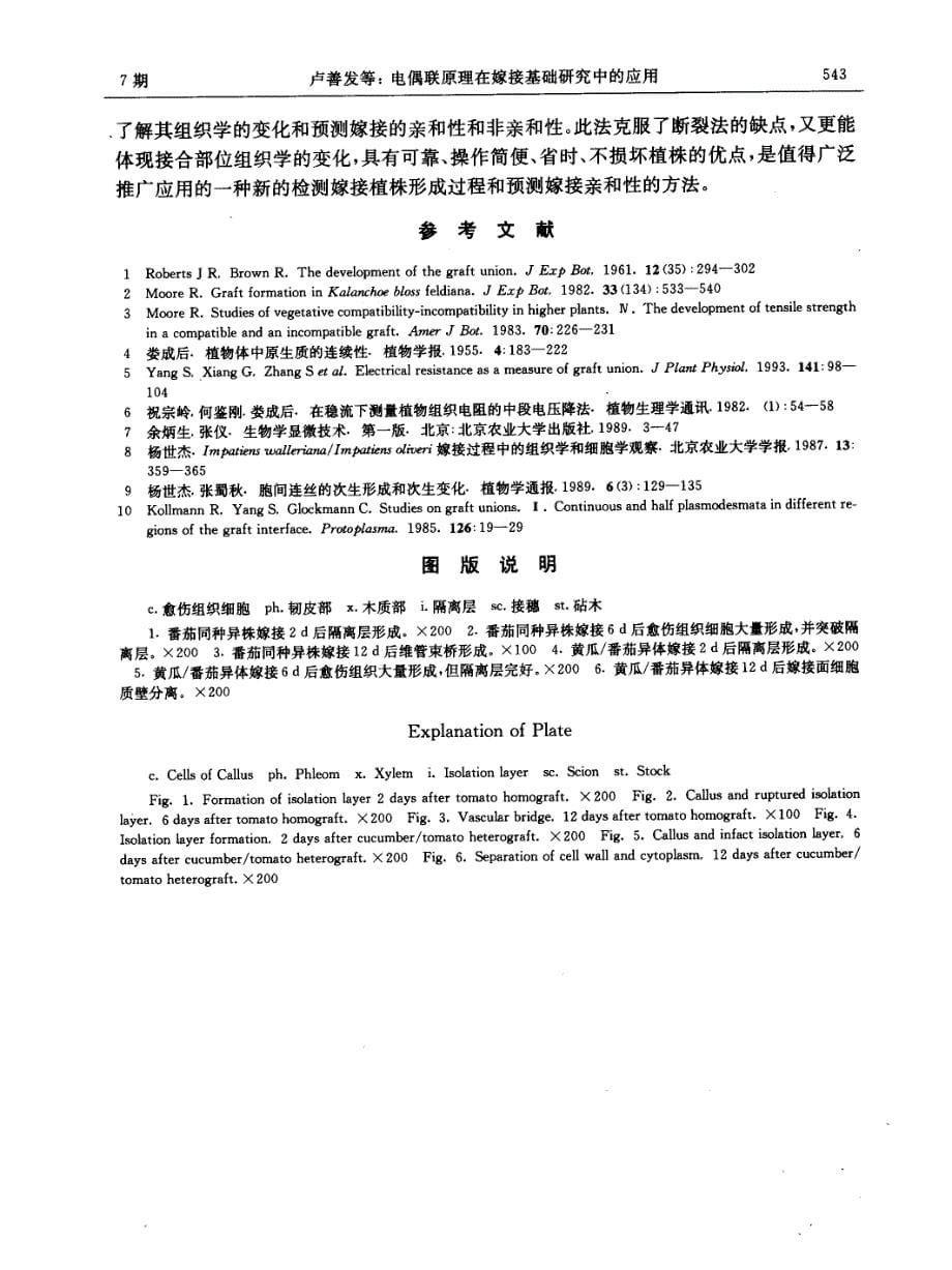 电偶联原理在嫁接基础研究中的应用_第5页