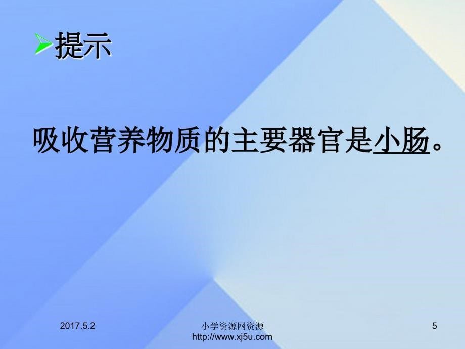 2016秋四年级科学上册2.3《一次奇妙的旅行》课件大象版4_第5页