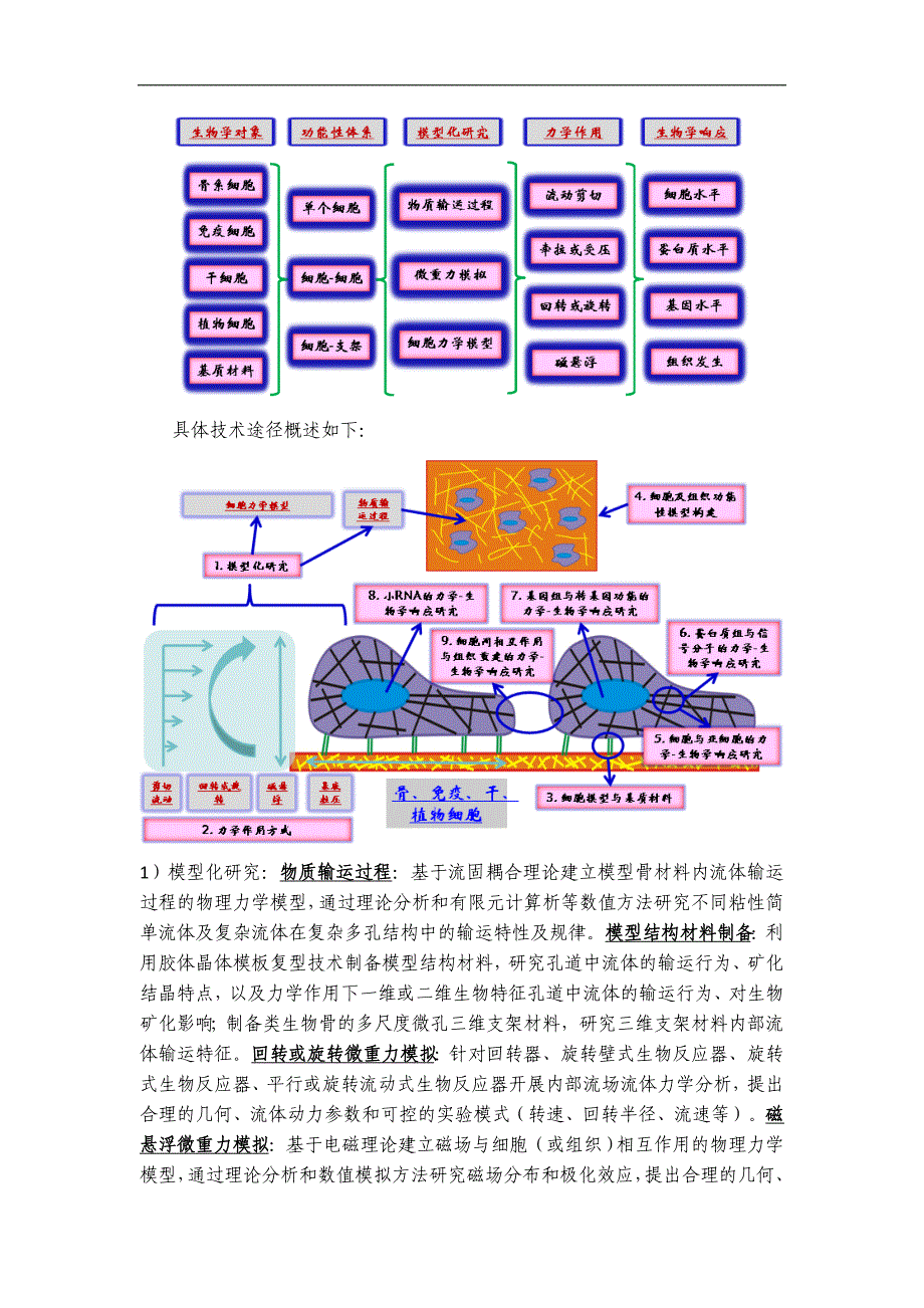 项目名称：（微）重力影响细胞生命活动的力学-生物学耦合规律研究_第4页