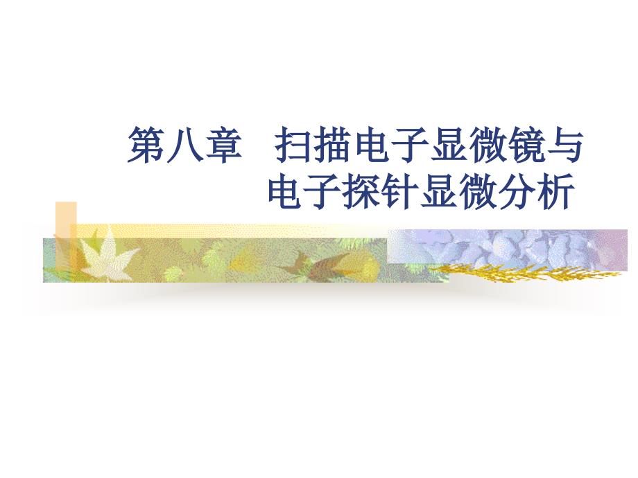 材料分析测试方法第八章扫描电子显微镜与电子探针显微分析_第1页