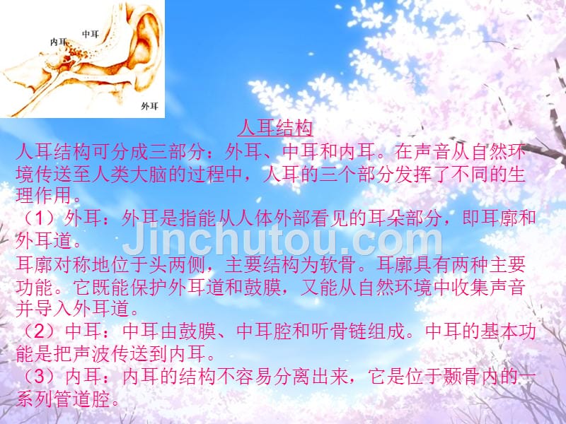 四年级上科学课件《我们是怎样听到声音》课件苏教版（三起）_第3页