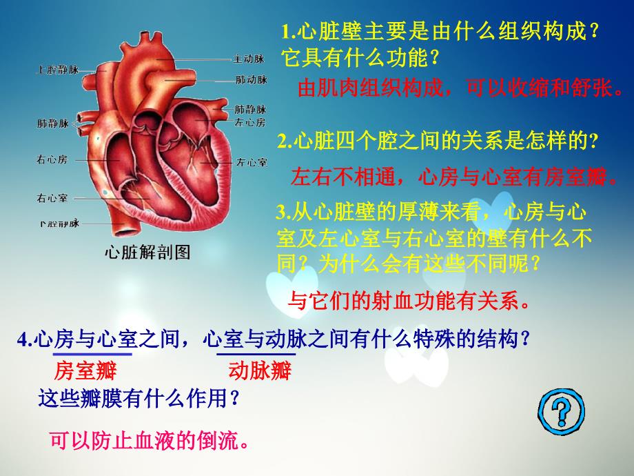 五年级上科学课件《3.+心脏和血液循环》课件2苏教版（三起）_第2页