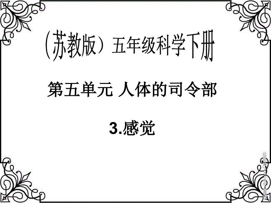 五年级下科学课件（苏教版）五年级科学下册课件+感觉+1苏教版（三起）_第1页