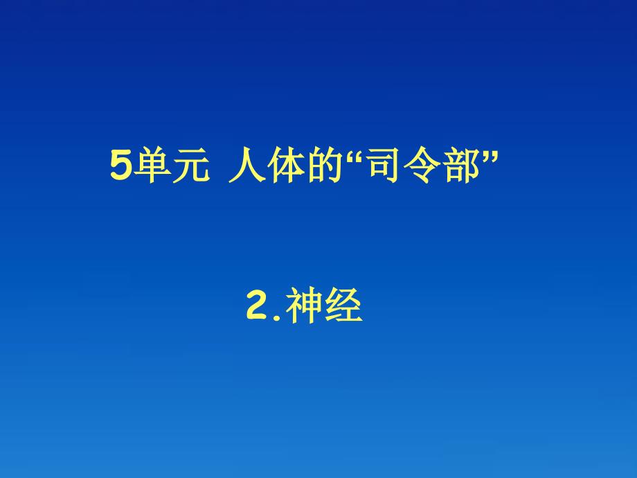 五年级下科学课件《2.+神经》课件4苏教版（三起）_第1页