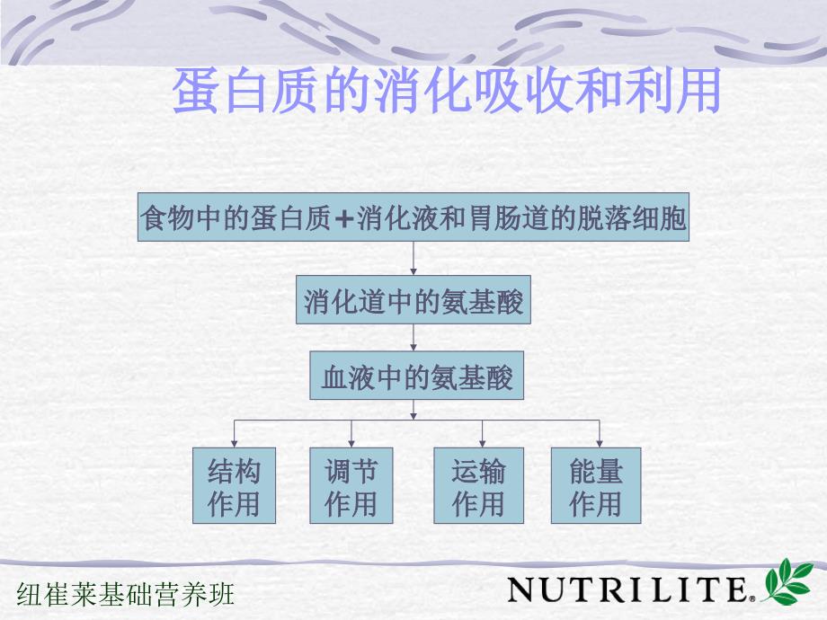 2.能量营养素_第2页