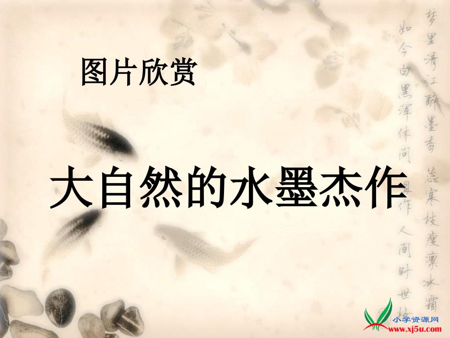 2016-2017学年六年级上册美术课件：《水墨画动物》3（人教新课标）_第2页