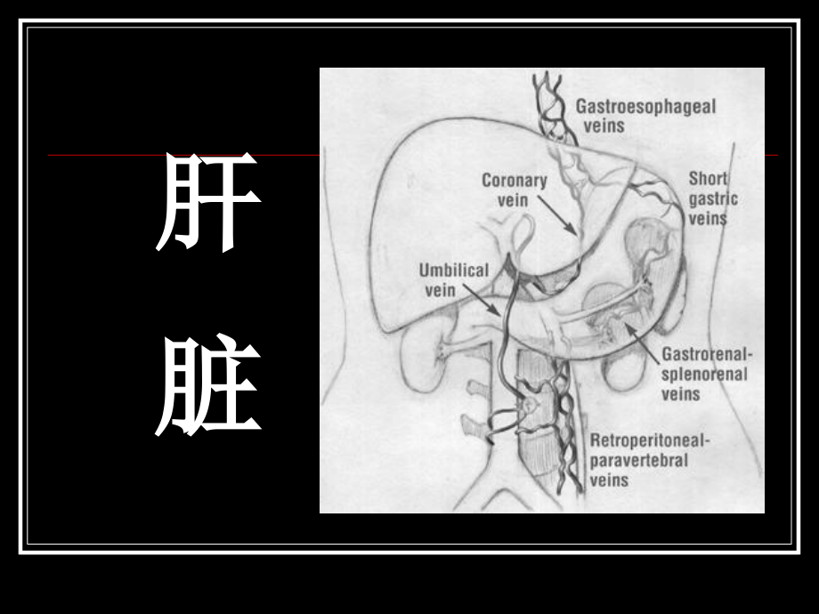 肝胆疾病影像诊断1_第1页