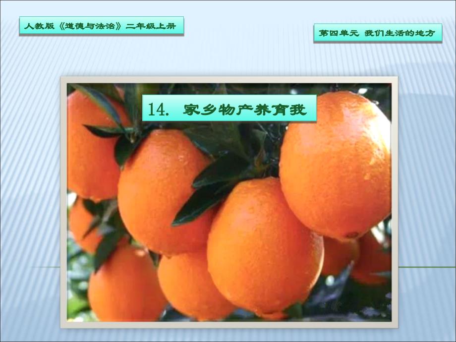 二年级上道德与法治课件《家乡物产养育我》课件2人教版（2016部编版）_第3页