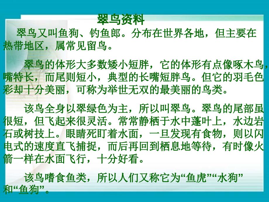 三年级下语文课件翠鸟2人教新课标_第2页