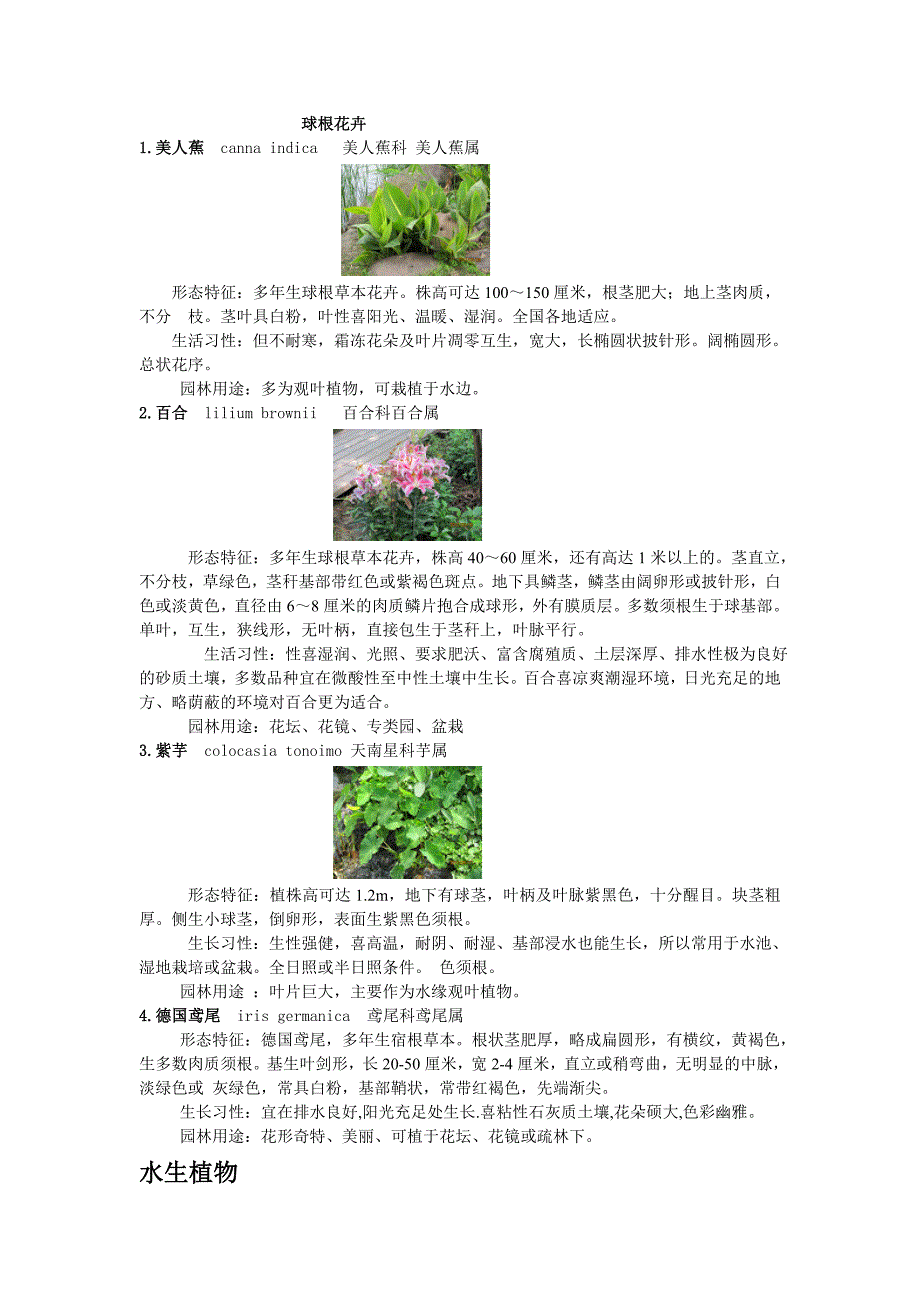 花卉实习报告——球根、水生花卉_第1页