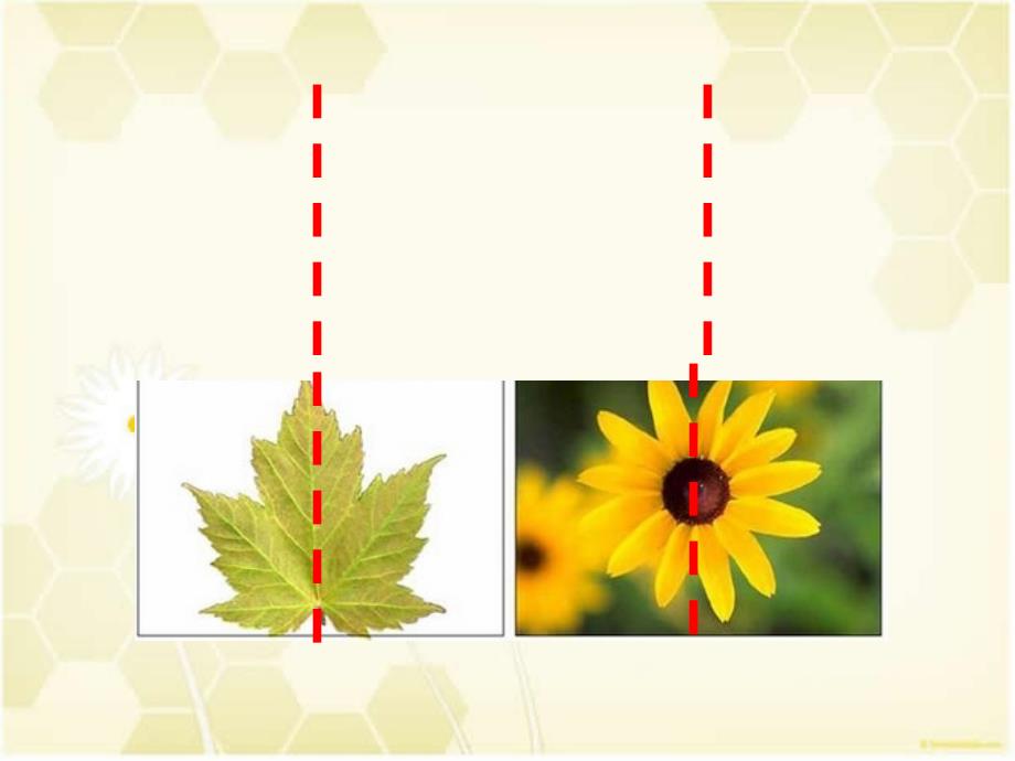 人教新课标二年级上美术课件对折剪纸_第3页