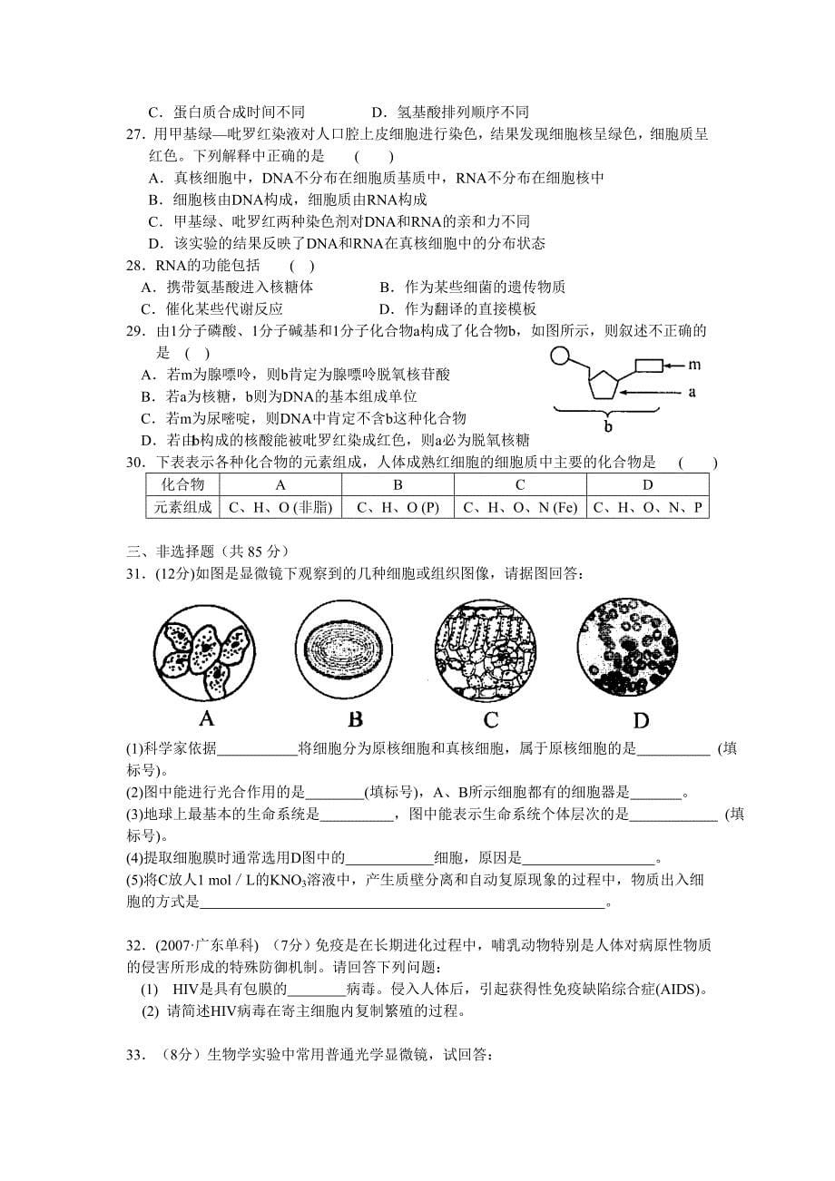 高三生物高三生物测试2_第5页