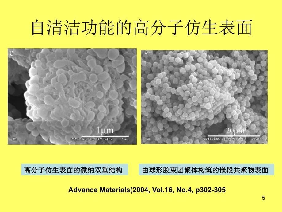 晶体的表面和_第5页