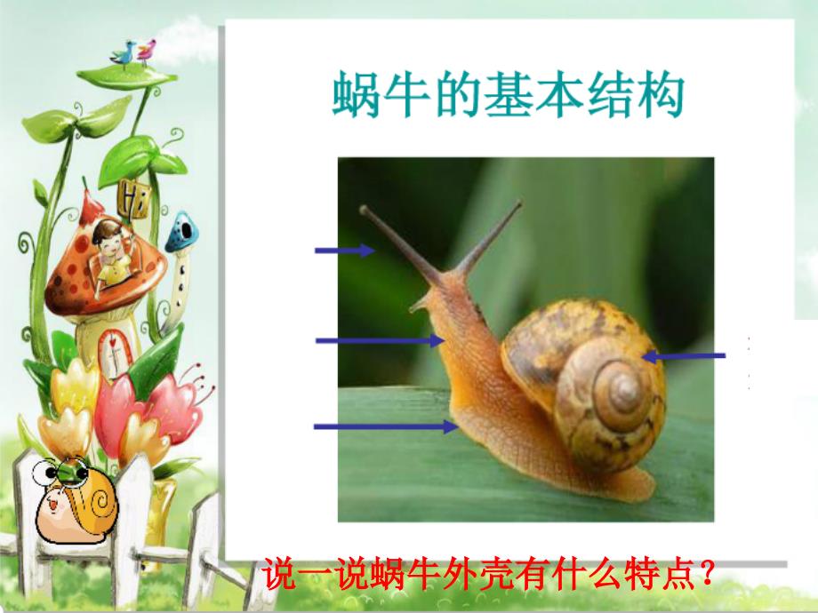 《小蜗牛慢慢爬课件》小学美术湘美11课标版二年级下册课件_10_第2页