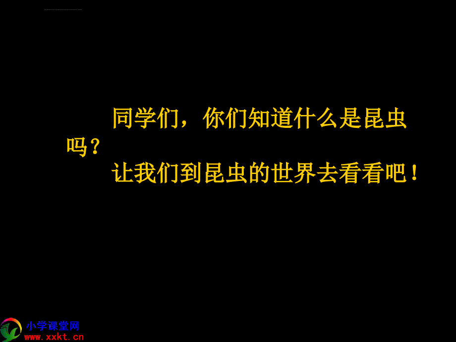 二年级品德与生活《我和动物交朋友》ppt课件之一（人教版）_第3页