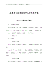 小麦粉项目投资分析及实施方案