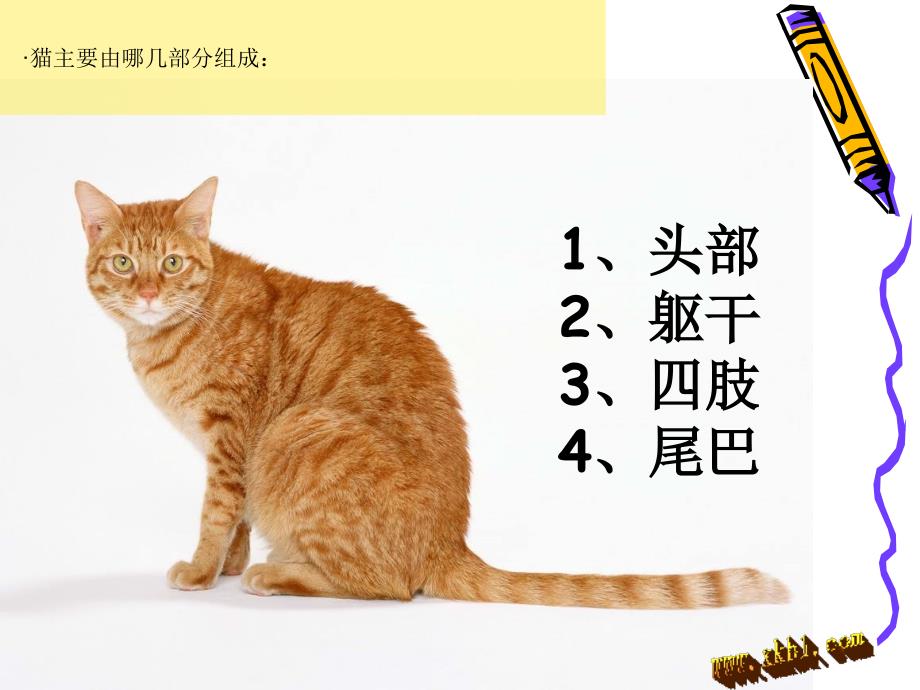 二年级美术课件可爱的猫咪课件精品_第3页