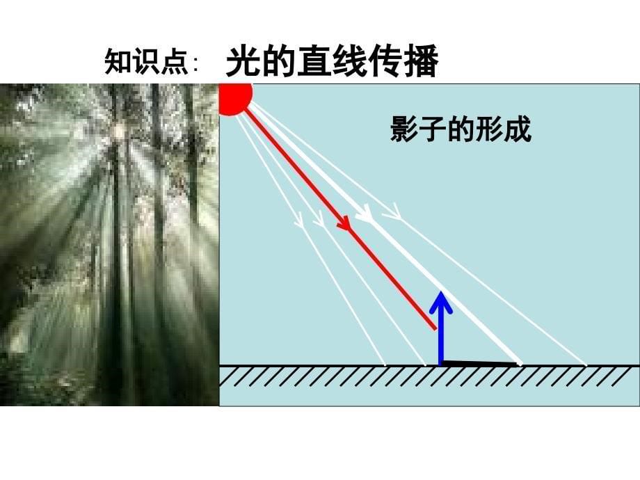 主要知识_第5页