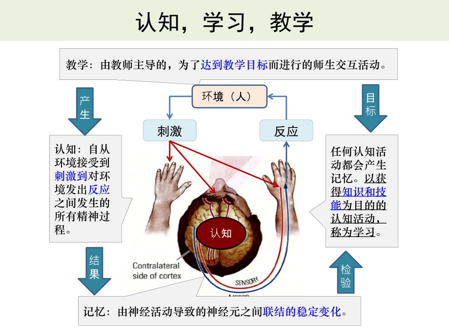 科学学习与教学（三）n_第3页