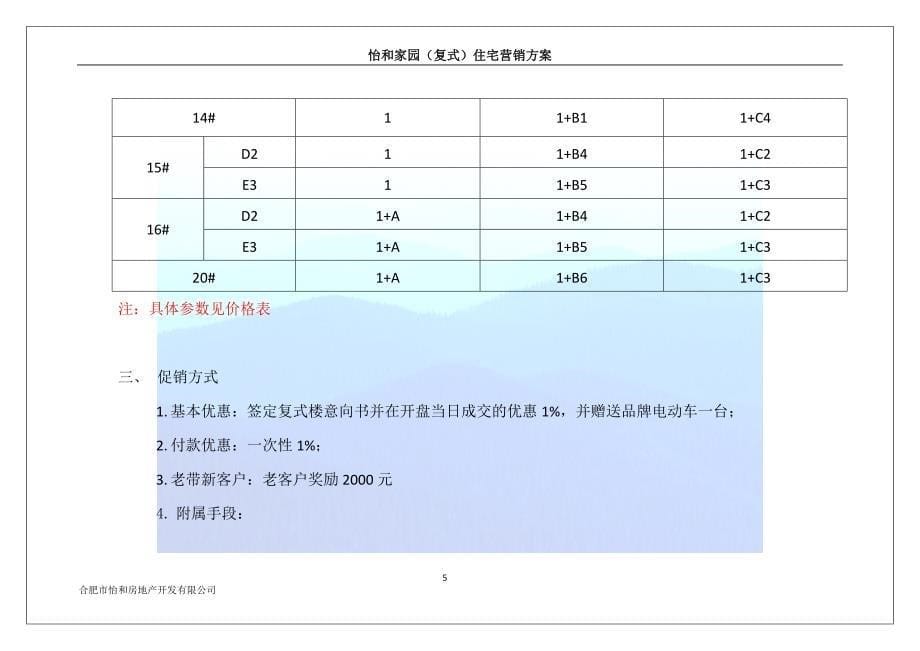 2009年怡和家园（复式）住宅营销方案_第5页