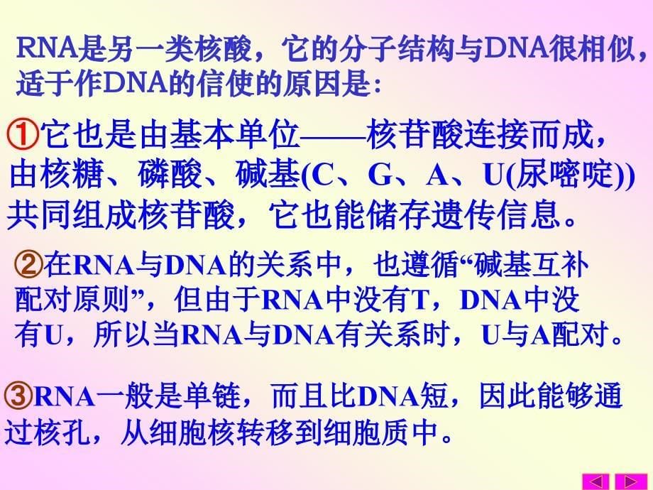 蓝少霓制作_第5页