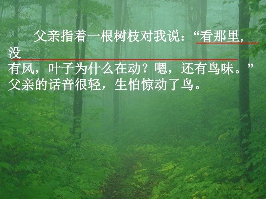 人教版新课标二年级语文上册29《父亲和鸟》课件二_2_第5页