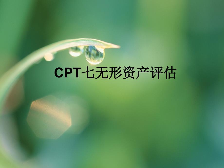 cpt七无形资产评估._第1页