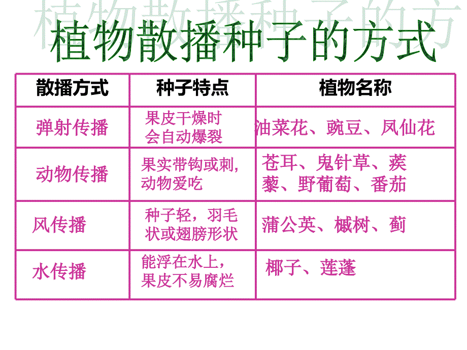 小学科学四年级下册《动物的繁殖》ppt课件（1）_第3页