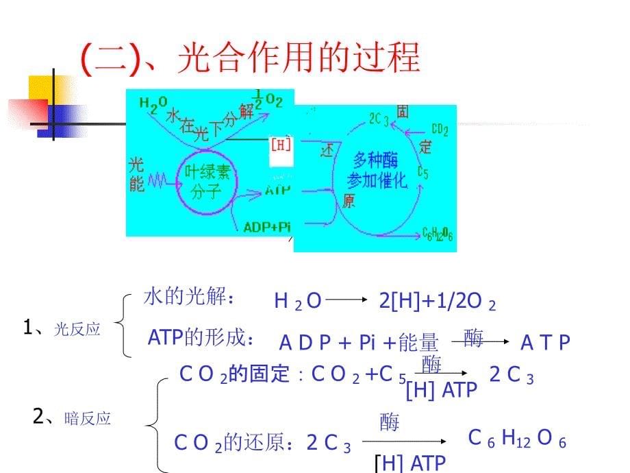 建筑三光合作用ppt模版课件_第5页