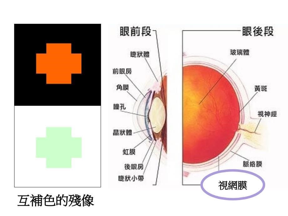 四年级其它课程色彩的对比_第5页