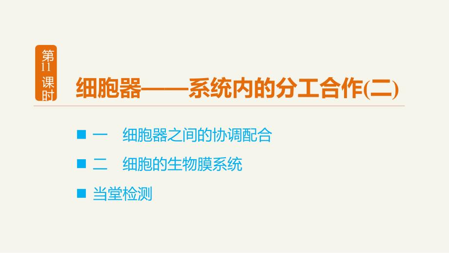 高考必备2016生物人教版必修1课件32细胞器系统内的分工合作（二）_第3页