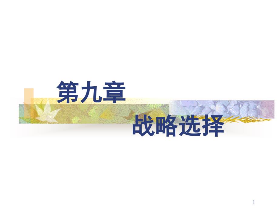 b9战略选择(本科-9)电脑基础知识it计算机专业资料_第1页